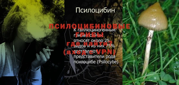 прущие крисы Белоозёрский