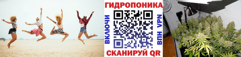 Бошки Шишки AK-47  Кондрово 